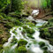 Pro-Art-Bilderpalette gla985b Mystic Ways Cadre Mural en Verre Motif ruisseau/sous-Bois Dimensions 50 x 50 cm