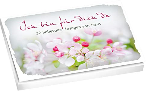 Ich bin für dich da - Textkarten: 32 liebevolle Zusagen von Jesus