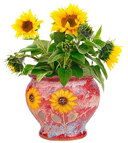 Sungmor Macetas de cerámica pintadas a mano para suculentas, maceta grande de 9 pulgadas, maceta de arcilla, jarrón de cerámica decorativo para arreglos florales decoración del hogar