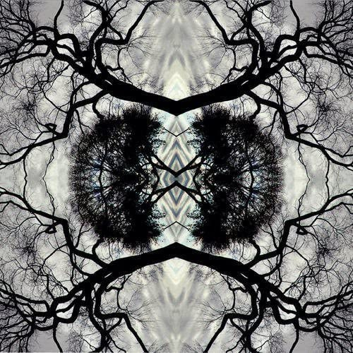 Sonic Mandala Go: Organic Orchestra