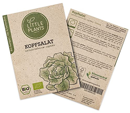 Litte Plants BIO Kopfsalat Samen, 120 Salat Samen, hohe Keimrate, 100% Natürlich, BIO Samen Kopfsalat Victoria für Gemüsegarten, Gemüsebeet, Hochbeet – BIO Gemüsesamen Saatgut Nachhaltig