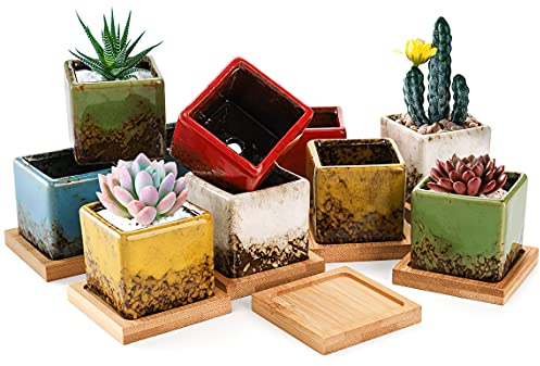 TOPZEA Set of 10 Succulent Planter Pots, 2 Inch Square Ceramic Glazed Cactus Plant Pot Tiny Flower Container with Drainage Hole & Bamboo Tray for Desk, Windowsill, Home Decor, Coffee Bar
