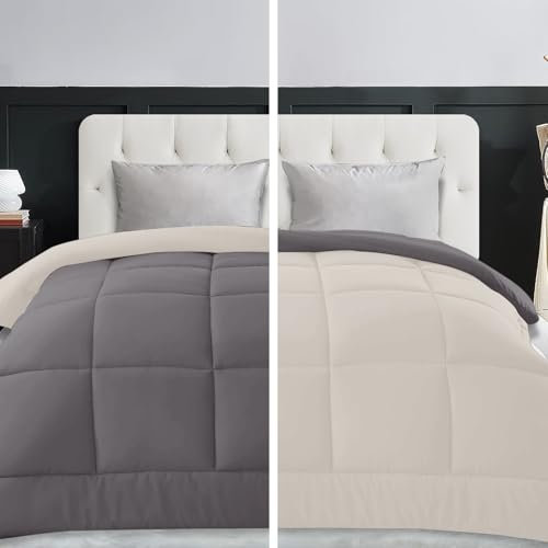 Home Tresor Trapunta Invernale, Piumone Caldo Letto Autunno Inverno Tinta Unita Double-Face Imbottita Morbida Microfibra Modello Giuditta Quattro Stagioni Bicolore Panna&Tortora, Una piazza e mezzo