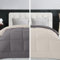 Home Tresor Trapunta Invernale, Piumone Caldo Letto Autunno Inverno Tinta Unita Double-Face Imbottita Morbida Microfibra Modello Giuditta Quattro Stagioni Bicolore Panna&Tortora, Una piazza e mezzo
