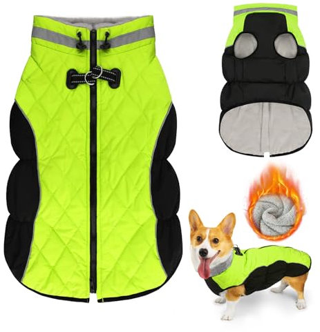 Lyneun Hundejacke Winter Wasserdicht, Warm Weich Winddicht Hundemantel mit Geschirr, Reflektierend Hunde Wintermantel mit Reißverschluss Verstellbarer Schnalle für Kleine Mittelere Hunde (Grün, XL)