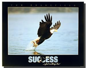 Bald Eagle Tauchen Landung Erfolg Wildlife Nature Animal Art Print Poster (16 x 20)