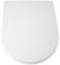 Blue Canyon D-Shaped Duroplastic Toilet Seat with Non-Slip Seat Bumpers & Heavy-Duty Stainless-Steel Hinges – Soft Close Toilet Seat - One Button Quick Release Toilet Seats - Universal Fixings (White)