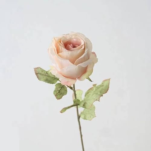Gsycle Künstliche Rose Blume, 20cm Langen Stiel realistischen Champagner Rose gefälschte Seidenrosen für DIY Hochzeit Sträuße, Hochzeit Dekoration, Tisch Centerpieces, Blumenarrangement