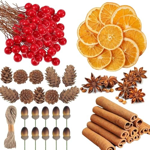 LATERN 225 Stück Weihnachtskränze Zubehör, 20 Getrocknete Orangenscheiben, 20 Zimtstangen, 10 Tannenzapfen, 10 Sternanis, 10 Eicheln, 155 Rote Beeren - für Weihnachten Basteln Party Dekoration
