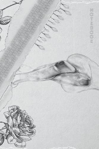 Aesthetic Sketch Notebook[ Paperback ]( 120 pages / Unlined / 6x9 inch / Cream Colour ): 15x22 cm