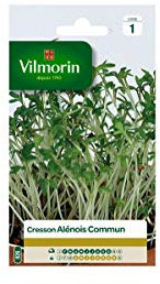 Vilmorin - Pacchetto di semi di crescione da giardino