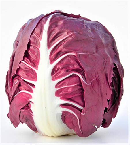 Bolly Bulbs® - Chicory Radicchio 'Rossa Di Verona' (500 Seeds)