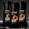 3 Pack of Lynx Dark Temptation 12 Hours Shower-Fresh Refreshing Dark Chocolate Scent Body Wash (225ml with Plant-based Moisturisers, Keep Smelling Irresistible!)