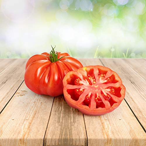Tomato ''Montserrat'' 25 x Samen aus Portugal 100% Natursamen ohne chemische Anzuchthilfen oder Gentechnik