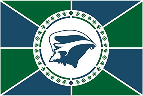 U24 Autocollant drapeau Martinique pour voiture - 15 x 10 cm