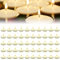 bechoanigel 50 Stücke Schwimmkerzen, Unparfümierte Tropffreies Schwimmende Kerzen, Floating Candles, Wasserkerzen Geeignet für Schwimmkerzenhalter, Schwimmdeko, Hochzeiten - Elfenbeinweiß