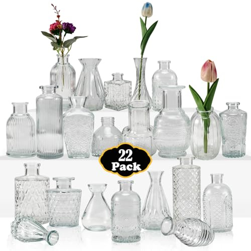 EOGRFW Kleine Vasen Set, 22 Stück Kleine Glasvase, Verschiedene Größen