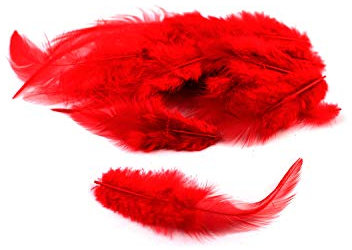 3g Hahnenkreuz Federn ca. 8-13cm (rot 250) // Dekofedern Bastelfedern Federn Hahn Natur Schmuckfedern Vogelfedern Hahnenfedern