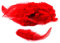 3g Hahnenkreuz Federn ca. 8-13cm (rot 250) // Dekofedern Bastelfedern Federn Hahn Natur Schmuckfedern Vogelfedern Hahnenfedern
