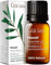 Gya Labs Ätherisches Niaouli Öl Diffusor - 100% Reines Natürliches Niaouli Öl für Haut, Aromatherapie, Kerze & Seife - Frischer, Erdiger & Kampferartiger Duft (10ml)