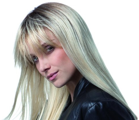 Damenperücke Cher lang, futura, blond, brünett, rot, grau, glatt von Ellen Wille champagne mix
