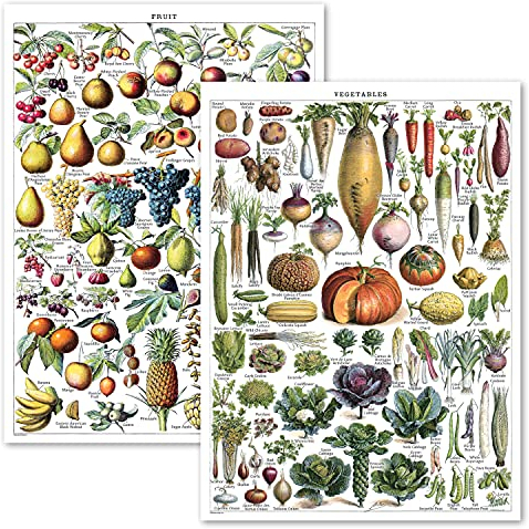 Vintage-Poster mit Früchten und Gemüse, Botanische Identifikation, Küchendekorationen, 2er-Set (laminiert, 45,7 x 61 cm)