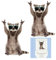 Stickers De Chats 3D, 2Pcs Décoration du Foyer De Toilettes De Chat Mignon Stickers Muraux De Salle De Bains Étanche Amovible Mur Animal Affiche De Voiture