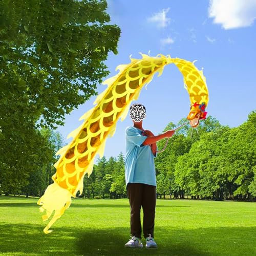 Carioca Malabares Poi de Dragón Chino de Fitness de Lanzamiento Corto para Niños, Bandera de Danza Artística de 7 Estilos de Malabarismo al Aire Libre, Serpentina de Cinta de Dragón Fluido Wulong ( Co