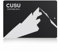 CUSU C300 1TB 2.5 Inch SATA SSD, Read Speed Up to 550MB/s Solid State Drive, Internal SSD for Laptop/PC