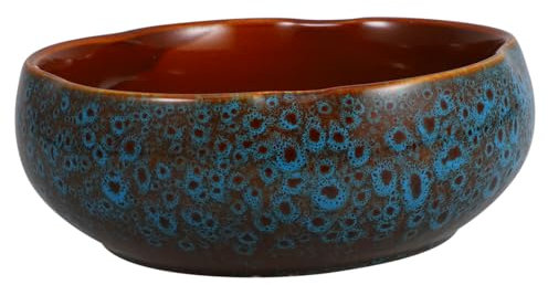 GAROZATION Keramische Hydrokultur Pflanzer Schale Für Lotusblumen Und Pflanzen Elegante Innendekoration Für Zuhause Und Büro Große Sichere Porzellan Blumenschale Für Hydroponische