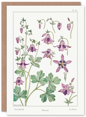 Artery8 Maurice Pillard Verneuil Art Card Columbine Aquilegia Flower