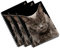 Primus Print Spiral-Notizblock Schreibblock Design-Block Collegeblock - A4 - kariert - 80 Blatt / 160 Seiten - Schule - Büro - Kinder (3, Katze)