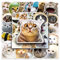 ZELAITE Lustiges Katzen Aufkleber Set, 50 Stück Niedliche Katzen Aufkleber, Tier Sticker für Laptop, Skateboard, Computer (D)
