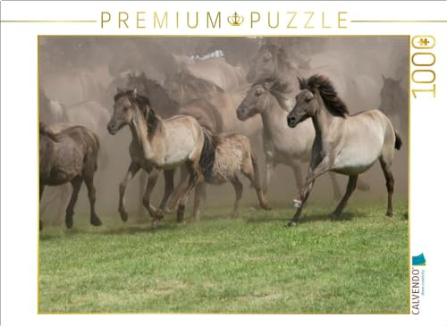 CALVENDO Puzzle Wildpferde beim Einlauf in die Arena | 1000 Teile Lege-Größe 64 x 48 cm Foto-Puzzle für glückliche Stunden