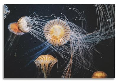 KAIPA Sea Life Poster Unterwasserquallen Poster, dekoratives Gemälde, Leinwand-Wandposter und Kunstdruck, modernes Familienschlafzimmer-Dekor-Poster, 40 x 60 cm