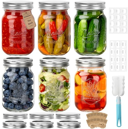 HYCKee 480ml 6 Pack Mason Glass Jars with Airtight Lids and Bands, Embossed Design Canning Jars, Regular Mouth Glass Jars for Pickling, Meal Prep, Freezing, Fermenting, Preserving, Jar Décor