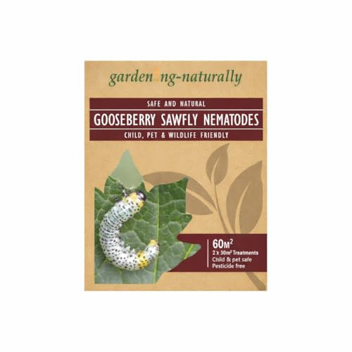 Gooseberry Sawfly Nematodes for Fruit and Vegetable Plants, Raised Beds and Soil Pest Control UK, Natural Garden Treatment for Gooseberry and Currant Bushes 30m² 2 Treatments one Week Apart
