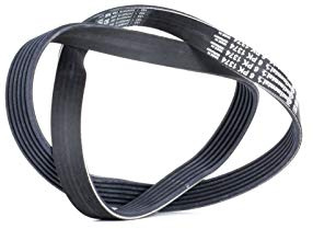 Continental 6PK1374 Metric Multi V-Belt