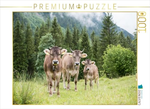 CALVENDO Puzzle DREI Original Braunviehrinder | 1000 Teile Lege-Größe 64 x 48 cm Foto-Puzzle für glückliche Stunden