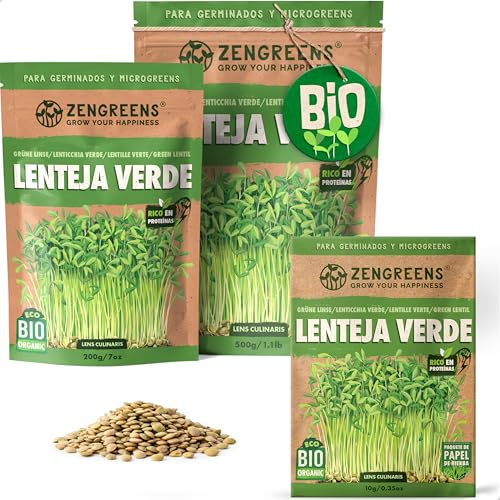 ZenGreens® Semillas de lenteja verde eco - 200g o 500g | germinados - para tarro, bandeja y germinador de pisos - alto poder germinativo - cosecha en pocos días