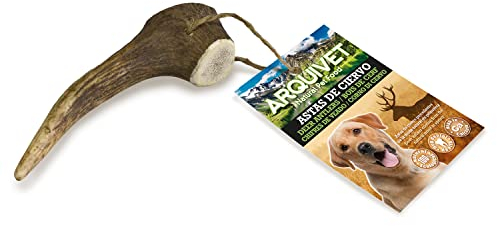 ARQUIVET Corno di cervo - Corno da masticare per cani ecologico - Corno di cervo per cane - Corno da masticare naturale - Corno di cervo raccolto autunnale - M - 40-75 g