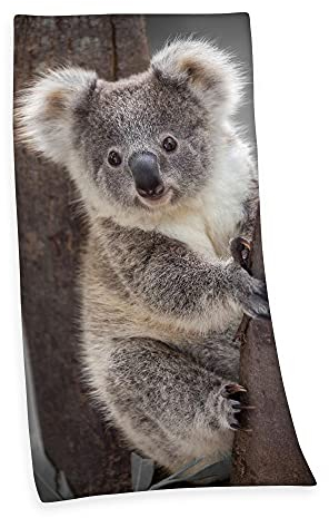 Klaus Herding GmbH Velourstuch Duschtuch Badetuch Strandtuch mit Koala 75 x 150cm