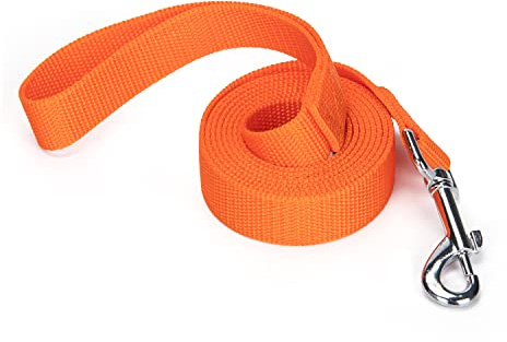 Siumouhoi Strong Durable Nylon Dog Training Leash, 1 Inch Wide Traction Rope, 6 ft Long, for Small and Medium Dog (Orange, 180cm x 2.5cm)
