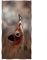 Zomer Strandtuch 70x140 cm Mikrofaser Badetuch Schnelltrocknend Badetuch für Reise, Strand, Fitness, Schwimmen, Yoga mit Fuchs küsst Schmetterling Motiv