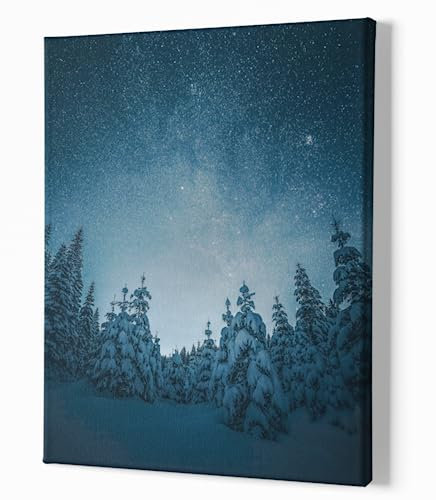 Generisch Sternenhimmel Leinwandbild 50x70 cm - Canvas 2cm Keilrahmen - Nacht Himmel mit Sternen über dem Winter Wald - Poster Kunstdruck Wandbild