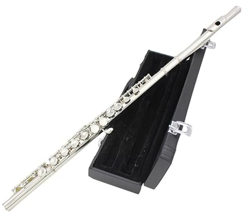 Querflöte Instrument 16-Loch-C-Flöte, Geschlossen, Offen, Kupfernickel, Versilbert, Konzertflöte Mit E-Klappe Und Box-Zubehör