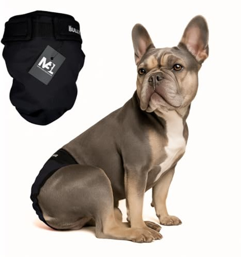 MyBullyLove Läufigkeitshöschen für Französische Bulldoggen ohne Rutenloch | Design All Black, Standard 42–47 cm; waschbar, wiederverwendbar und stufenlos verstellbar.