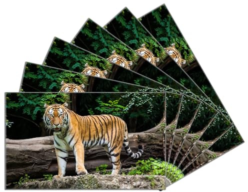 Wallario 6er Set Frühstücksbrettchen aus Glas, Glasunterlage, Glasbrettchen Blick des Tigers, Größe 14 x 23 cm, Sicherheitsglas