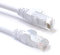 C6 CAT6-CCA UTP RJ45 Ethernet Lszh Conexión Cable Blanco 40 m [40 metros/40m]