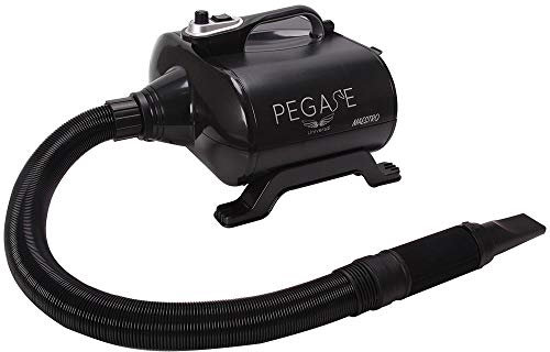 Phoenix Séchoir Maestro pour Chien 3000 W